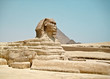 Vintage image of Sphynx