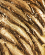 fish produce