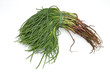 Foto: Italienisches Gemüse - Agretti Italienisches Gemüse - Agretti
