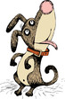 funny dog stands on its hind legs