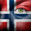 Flag painted on face with green eye to show norway support