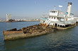 Abandoned ship with sea lions08 Abandoned ship with sea lions08