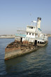 Abandoned ship with sea lions05 Abandoned ship with sea lions05