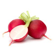.Small garden radish  .