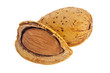 Two almonds isolated on white background