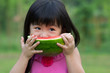 Happy child with watermelon