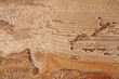 Detail of wooden plank