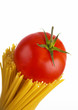 Pasta with tomatoes on a white background with sample text Pasta with tomatoes on a white background with sample text