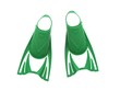 Flippers