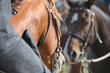 Riding an horse