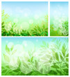 set abstract background with green sheet set abstract background with green sheet