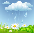 summer background with rain, cloud and meadow summer background with rain, cloud and meadow