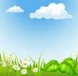 summer background with cloud and blossoming meadow summer background with cloud and blossoming meadow