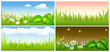 set summer background green meadow set summer background green meadow