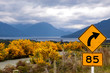 Gelbe Ginster und Straßenschild an der Milford Road