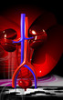 Kidney