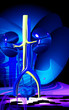 Kidney