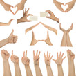 Set of many different hands