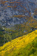 landscape near Melkevollbreen Glacier, Jostedalsbreen NP,Norway