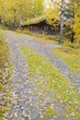 scanzen, Fagernes, Norway