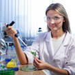 canvas print picture - beauty scientist in chemical laboratory