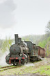 steam freight train (126.014), Resavica, Serbia