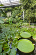 Botanical Garden Na Slupi, Prague, Czech Republic