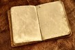 Photo: Opened vintage book with blank pages. Opened vintage book with blank pages.