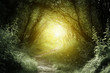 way in deep forest