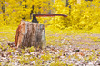Old hatchet in wooden log Old hatchet in wooden log