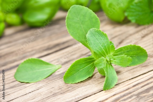 Photo: Stevia Stevia