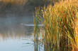 river