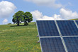 Photovoltaik mit Blumenwiese