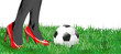 Frauenfussball