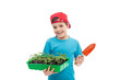 Photo: Boy with tomato seedlings in tray and small gardening spade Boy with tomato seedlings in tray and small gardening spade