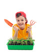 Photo: Young boy learning to grow food Young boy learning to grow food