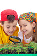 Photo: Growing your own food Growing your own food
