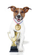 winner dog