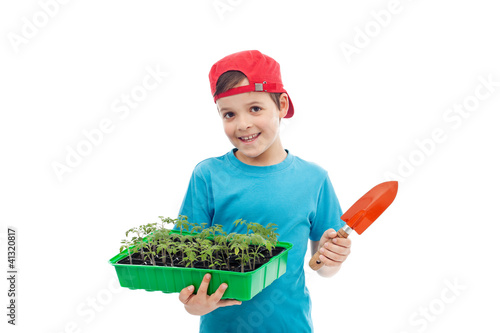 Photo: Boy with tomato seedlings in tray and small gardening spade Boy with tomato seedlings in tray and small gardening spade