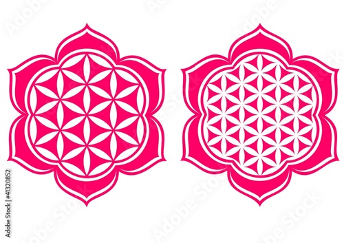 Vector: Blume des Lebens - Lotus Blüte - Schutz Symbol Blume des Lebens - Lotus Blüte - Schutz Symbol