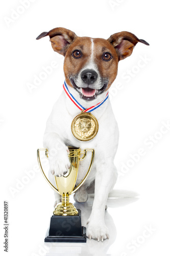 Photo: winner dog winner dog