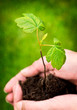 New Life in Spring concept