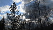 Cloud, Time Lapse