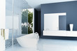 Modern Luxury Bathroom Design Interior