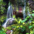 Résurgences eau de source.