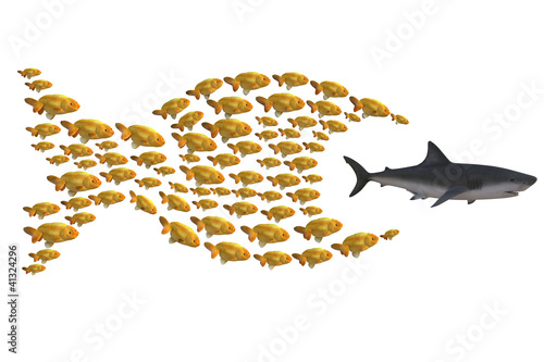 Illustration: fish group chasing shark fish group chasing shark