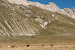 Foto: Abruzzo Abruzzo