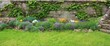 Parterre de fleurs jaune violette rouge verte blanche orange