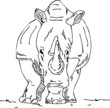 big rhino big rhino