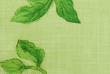 green fabric texture
